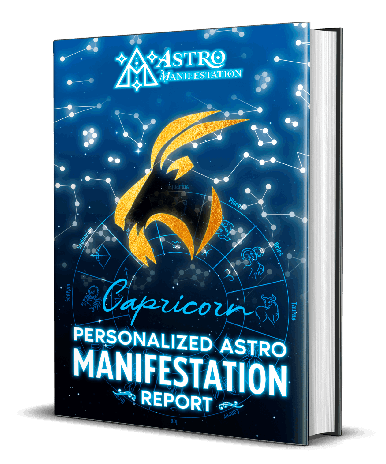 capricorn.png 1261x1516 1