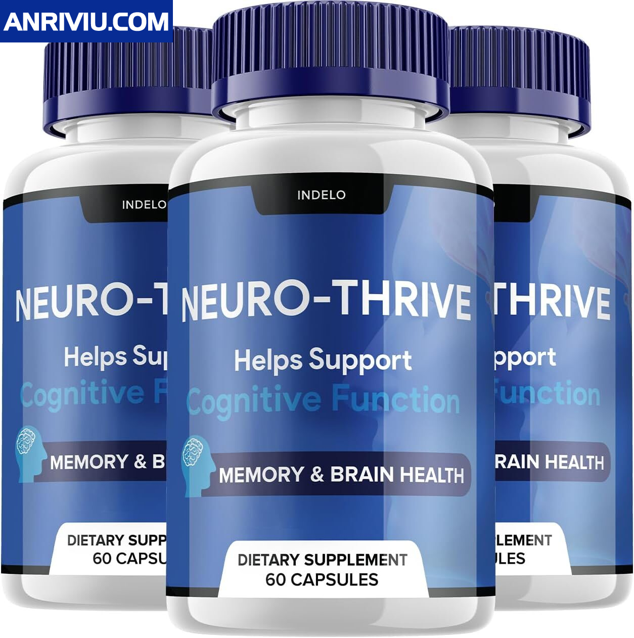 neuro1 1