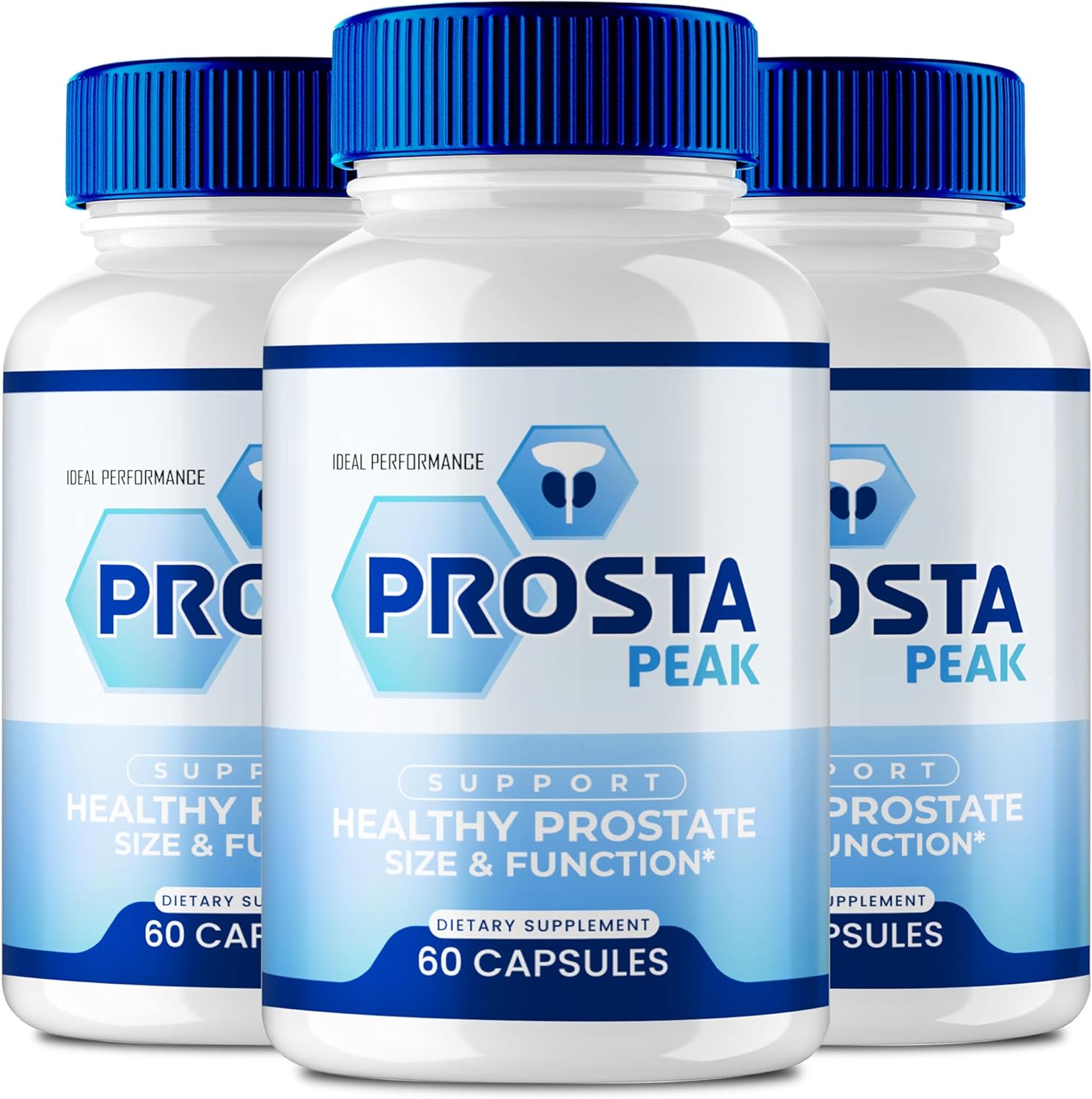 prota1 1