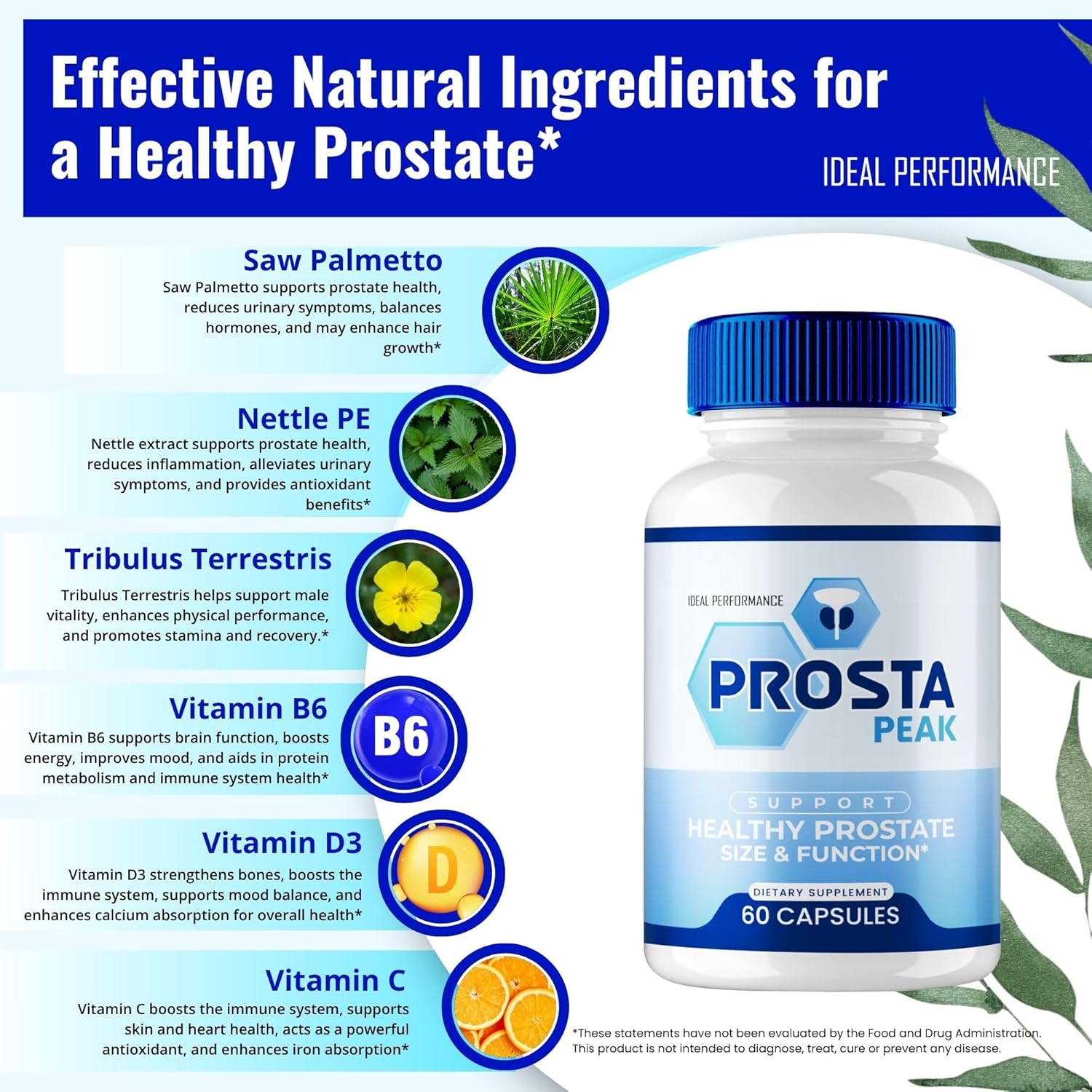 prota6